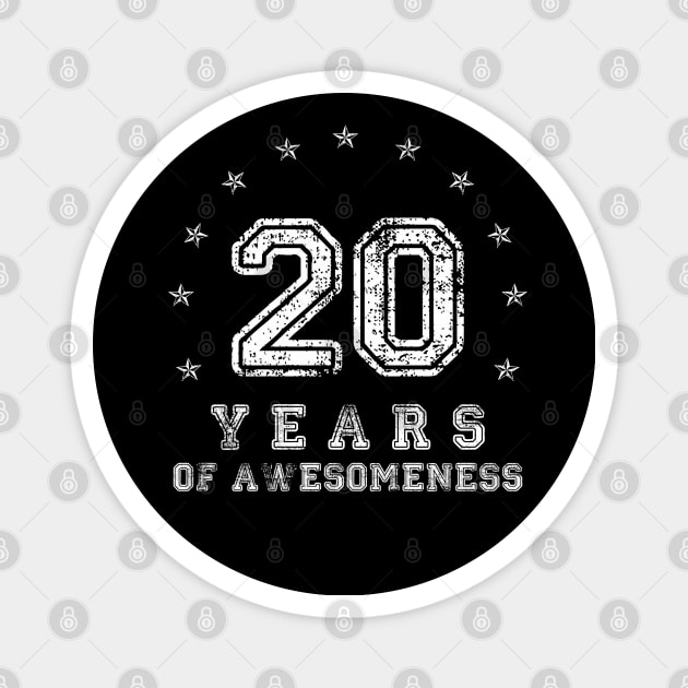 Vintage 20 years of awesomeness Magnet by opippi